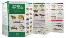 Pocket Naturalist: Reptiles & Amphibians